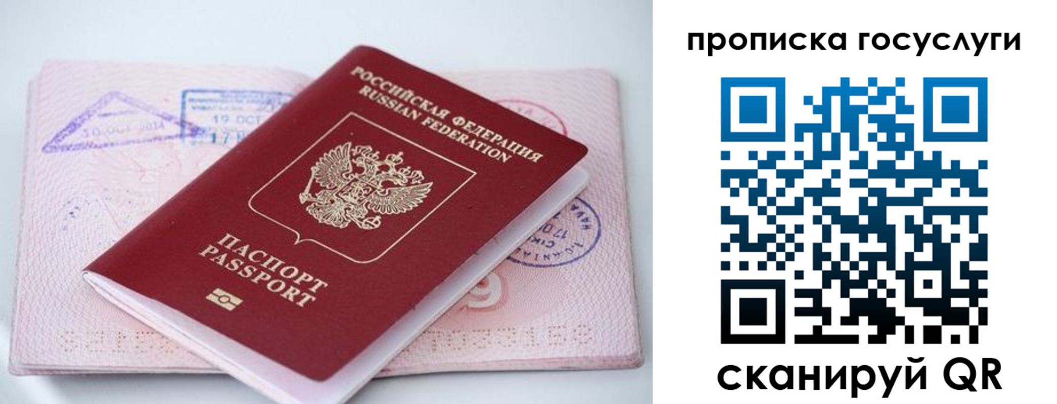 прописка законно в Моздоке